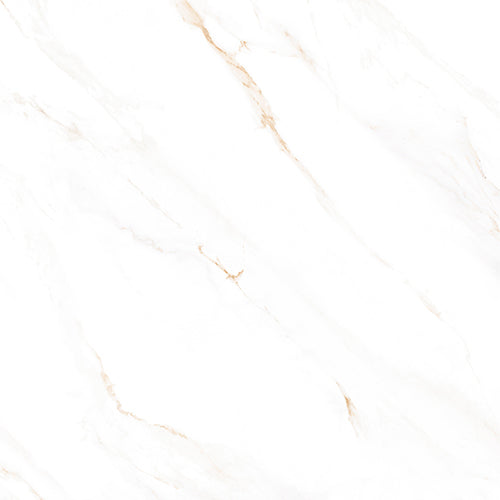 HD 3775 58x58 (22.83"x22.83") Ceramic Floor Tile 7PPB 3.62 sqft/p