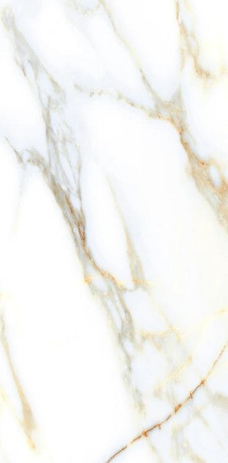 WPY12023 60x120 (23.6"x47.2") Rectified Multi-Face 2PPB 7.75 sqft/p