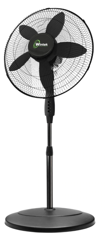 Wintek 18